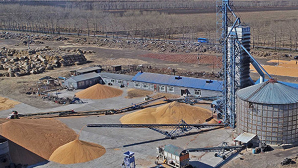 糧食烘干合作社如何做到年節(jié)省90萬元？利民萬佳鍋爐為您解析